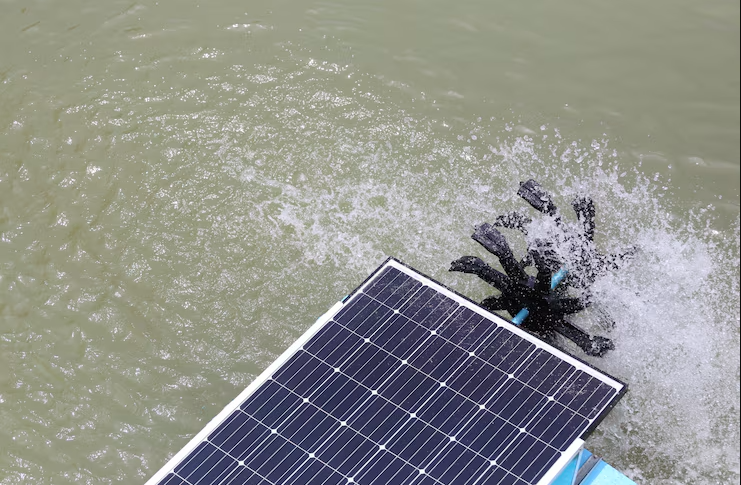 Energia solar na piscicultura: como reduzir custos e aumentar a eficiência