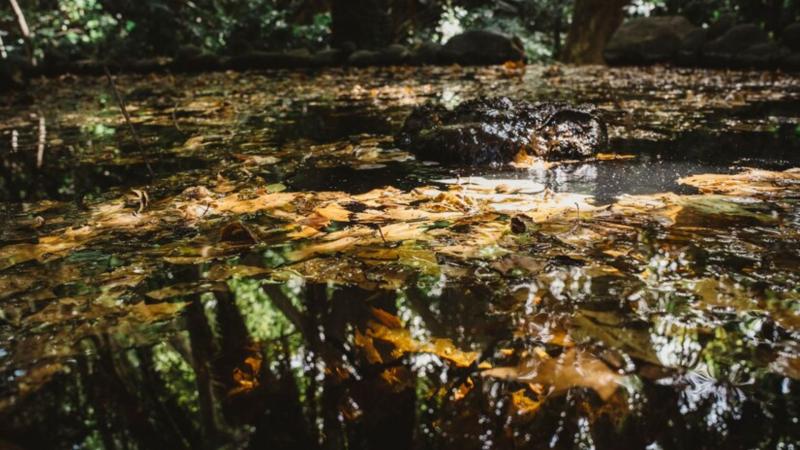 Removedor de Lodo Submerso Eficiente